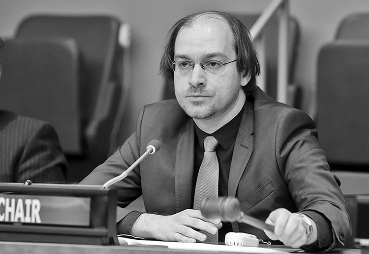 image Quatorzième session du Forum des Nations Unies sur les forêts (FNUF14) Les forêts sont à la tête des solutions pour le changement transformationnel